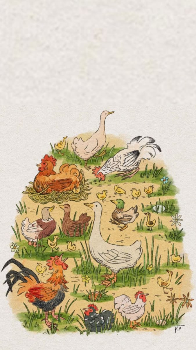 Illustration of a mixed farmyard flock of hens, ducks, geese and chicks